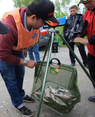 Тренога Fishprofi для взвешивания рыбы на соревновании