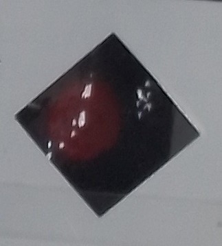 Блесна колеблющаяся DOHNA 2.8гр #004