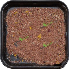 Прикормка Traper Динамик, серия Bream 1кг.