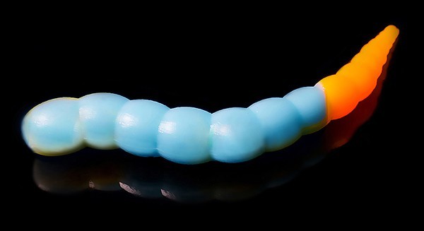 Jara Buf Worm 45 (Сыр) Color #208