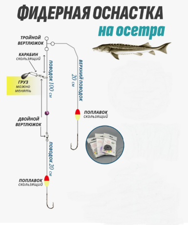 Фидерная оснастка для ловли осетровых 2 крючка