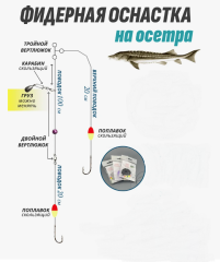 Фидерная оснастка для ловли осетровых 2 крючка