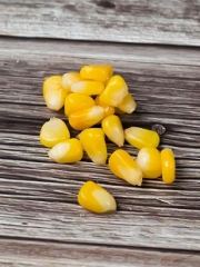 Насадка &quot;CARPELLA Кукуруза&quot; пакет 100г Анис