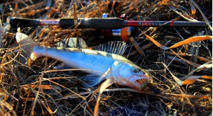 Спиннинг Metsui (Митсуи) SPECTER T-702M 2.13 м., 8 - 32 гр.