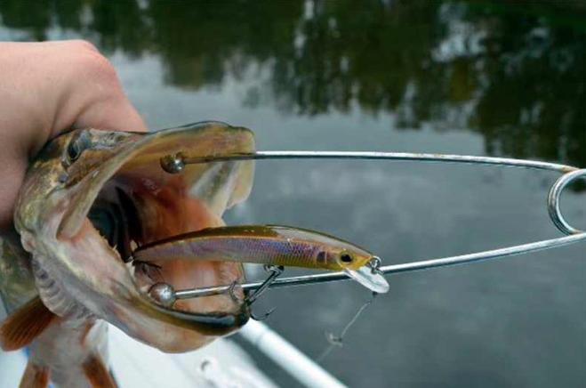 Зевник с шарами