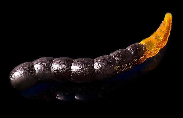 Jara Buf Worm 45 (Чеснок) Color #214