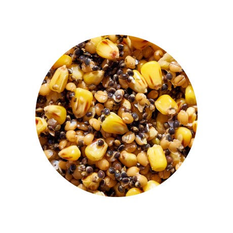 Зерновая смесь GENLOG (Генлог) SEED SUPER MIX NATURAL МИКС натуральная 1 кг.