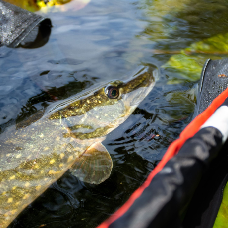 Сумка для взвешивания рыбы SNAPPER FLOATING BANK & BOAT SLING