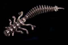 Jara Nessy 50 (Мидия) Color #02