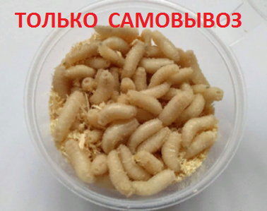 Опарыш белый  XL