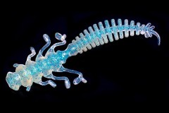 Jara Nessy 50 (Мидия) Color #38