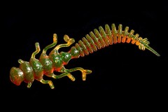 Jara Nessy 50 (Мидия) Color #44