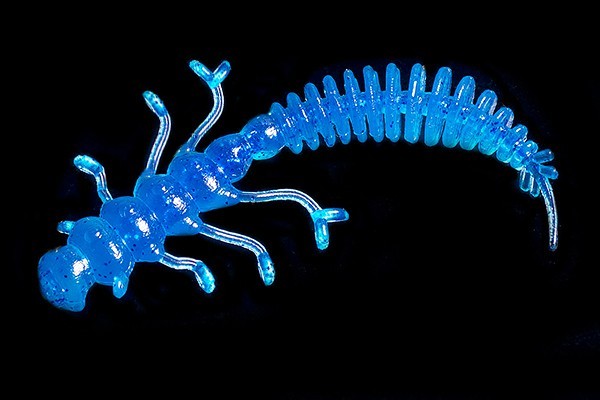 Jara Tango Worm 78 (Сыр) Color #18