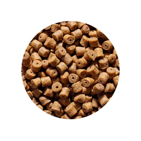 Пеллетс насадочный 8 мм 1 кг Чеснок GENLOG (Генлог) OXYGENE Garlic