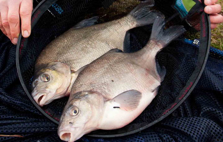 Подсак рыболовный Preston DEEP QUICK DRY LANDING NET - 18'  45cm