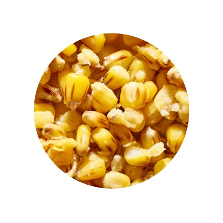 Зерновая смесь GENLOG (Генлог) CORN SCOPEX Кукуруза Скопекс 1 кг.