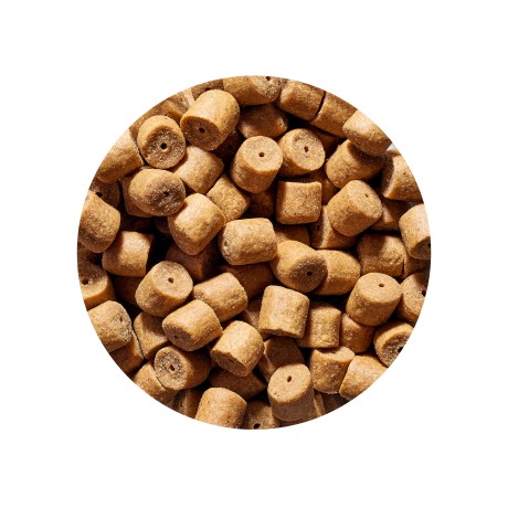 Пеллетс насадочный 12 мм 1 кг Чеснок GENLOG (Генлог) OXYGENE Garlic