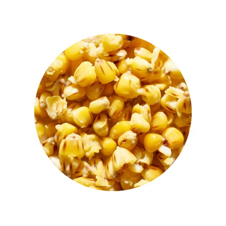 Зерновая смесь GENLOG (Генлог) CORN STRAWBERRY Кукуруза Клубника 1 кг.