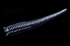 Jara Virmworm 45 (Мидия) Color #02