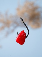 Насадка &quot;CARPELLA Кукуруза&quot; красная пакет 100г Тути-Фрути