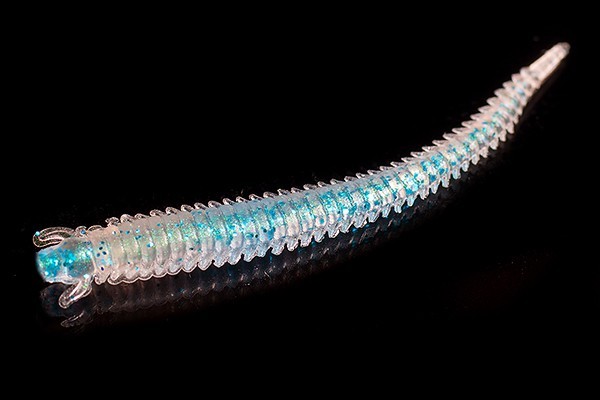 Jara Virmworm 45 (Мидия) Color #38